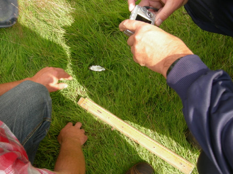 Lith 2008 (146)